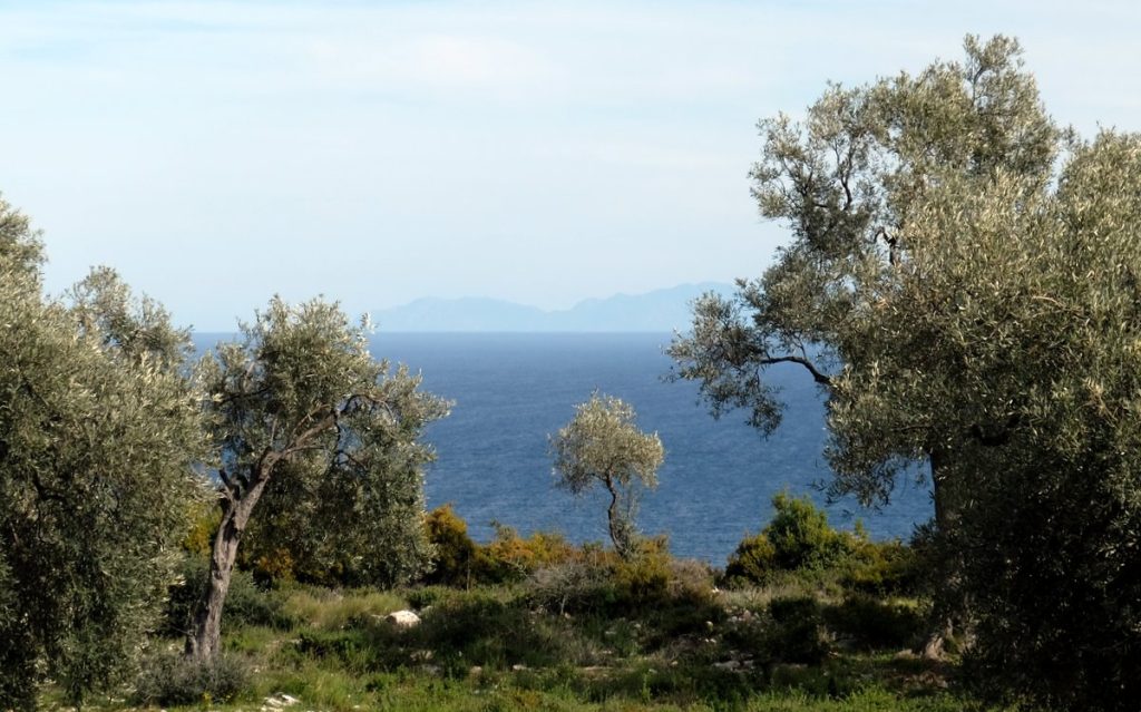 View over micro to the Aegean Sea. Modern cottage for rent in Lafkos Pelion. Holidays in Greece. 