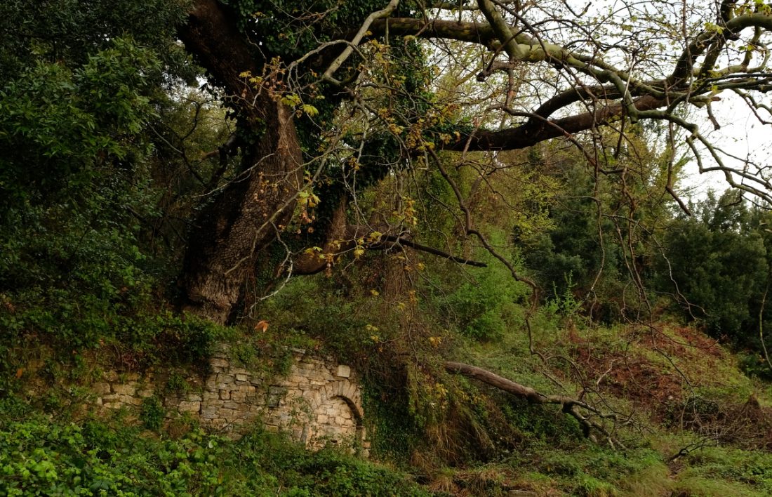 Hiking Greece Pelion (1)