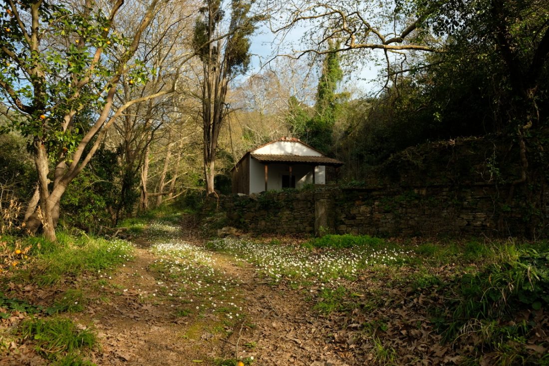 Hiking Greece Pelion (11)