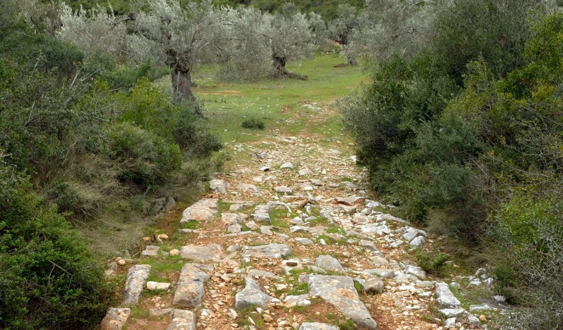 Hiking Greece Pelion (6)