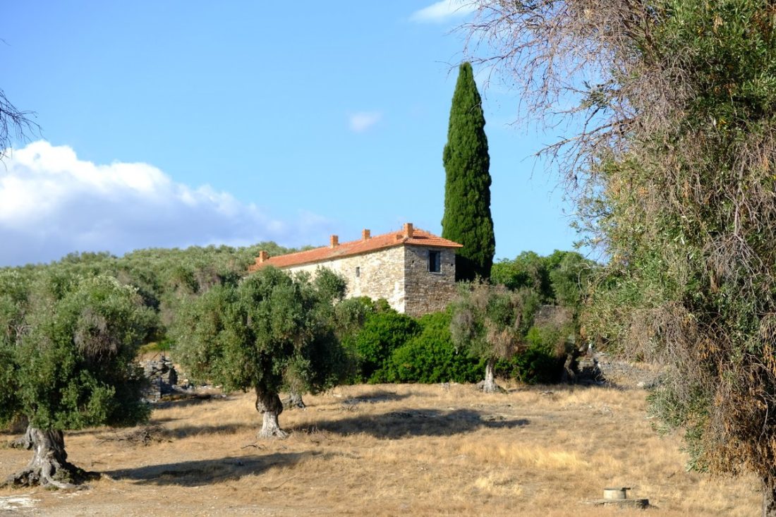 Summer Pelion Greece (17)